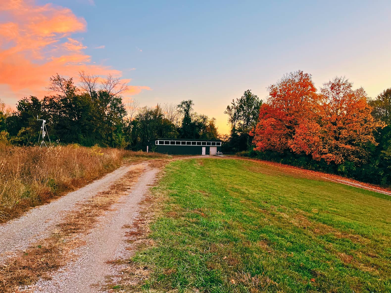 Evening autumn trail run, minutes before the opossum encounter