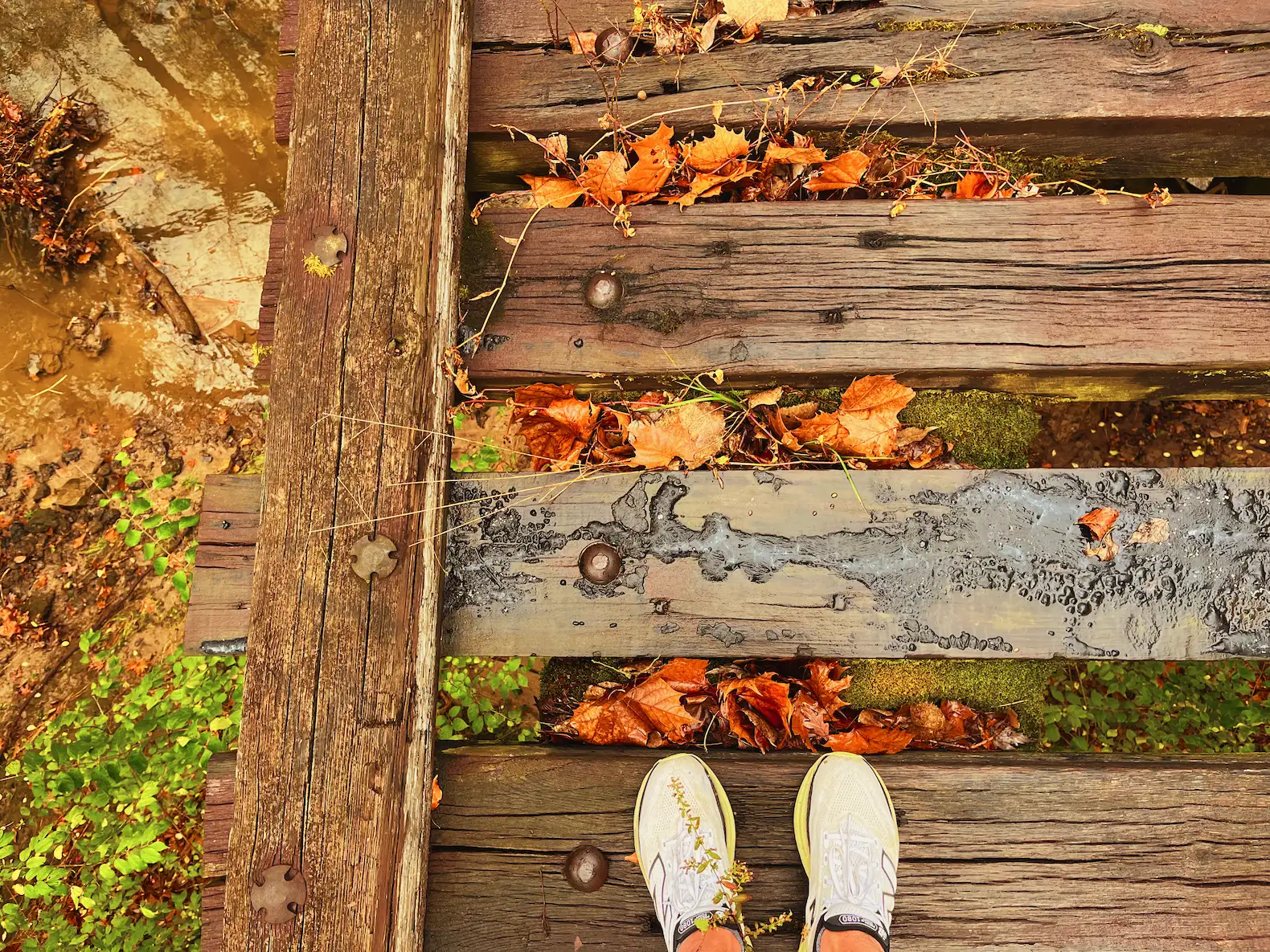 Cold & wet autumn trails