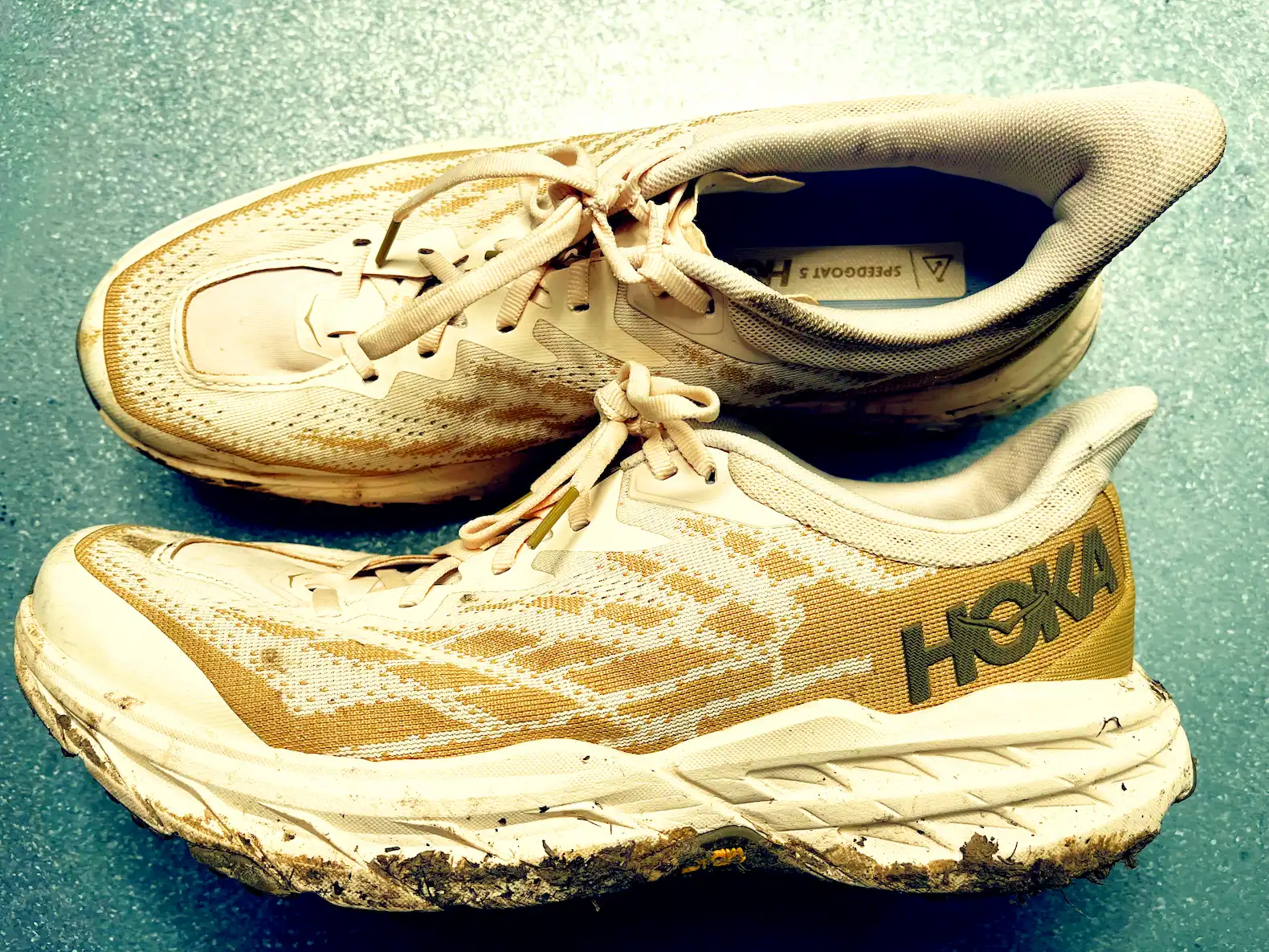 Hoka Speedgoat 5